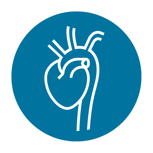 Dual-Mode Measurement - tryb dzienny i nocny z automatycznym przełączaniem